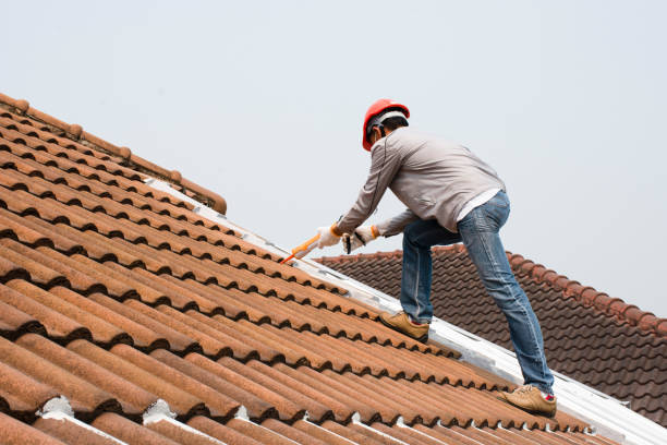 Best Flat Roofing  in Lake In The Hls, IL
