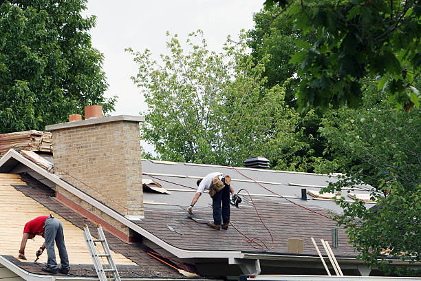 Best Rubber Roofing (EPDM, TPO)  in Lake In The Hls, IL